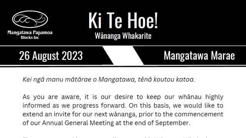 Ki te Hoe! Wānanga Whakarite – August 2023