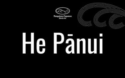 He Pānui – Announcement